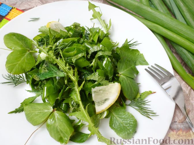 Зеленый салат с листьями одуванчика и крапивы